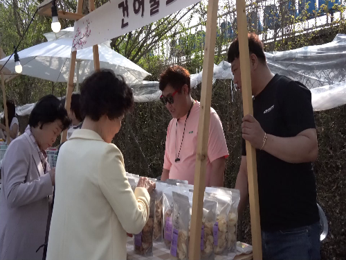 김제 꽃빛드리 축제와 시민문화체육공원